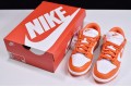 Nike SB Dunk Low SP "Syracuse" White Orange CU1726-101