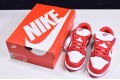 Nike SB Dunk Low SP "University Red" White Red CU1727-100